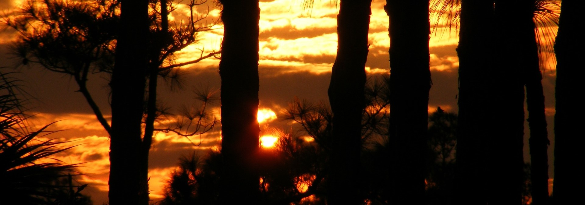 Sunset in Punta Gorda Florida - CarDonations4Cancer.org
