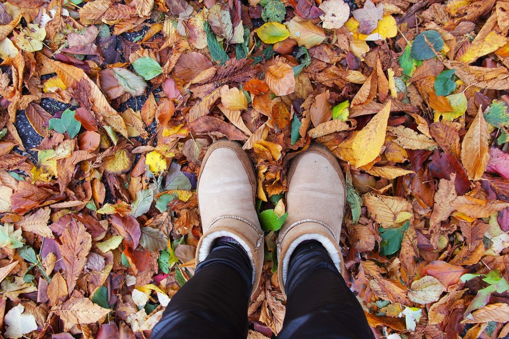 Take a Walk in the Park Day | Breast Cancer Car Donations