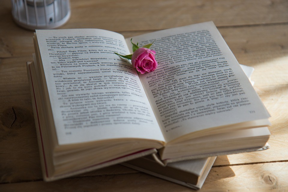 Celebrating Novel Writing Month | Breast Cancer Car Donations