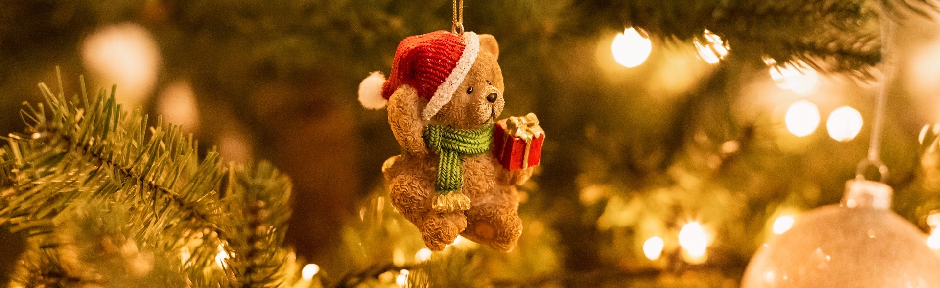 Teddy Bear Decor on a Christmas Day | Breast Cancer Car Donations