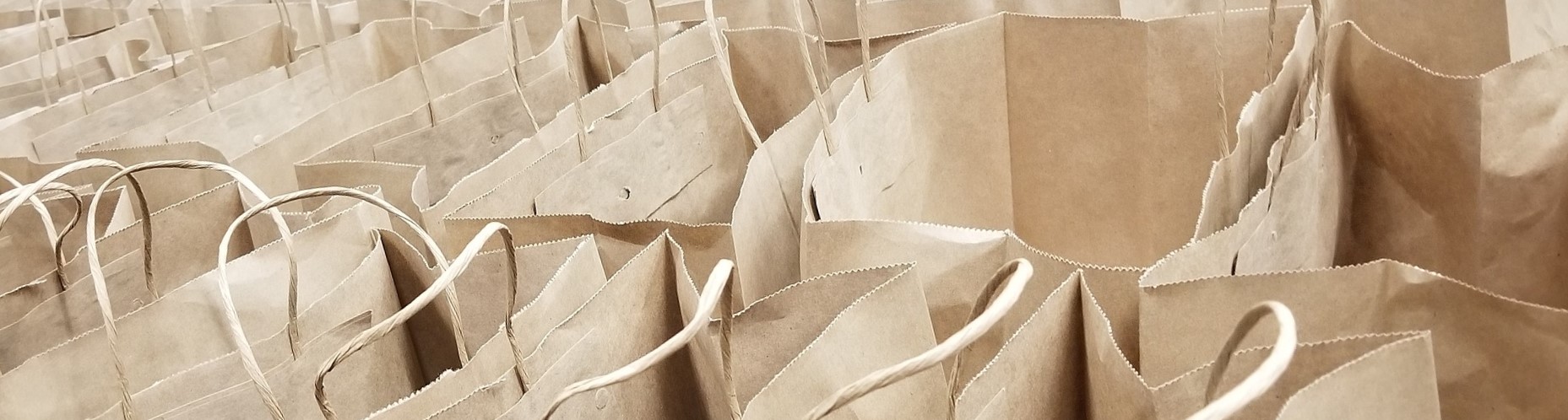 Grocery Bags | Breast Cancer Car Donations