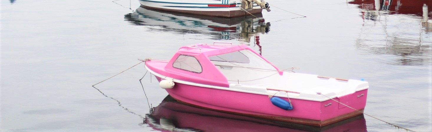 Pink Boat on a Lake| Breast Cancer Car Donations