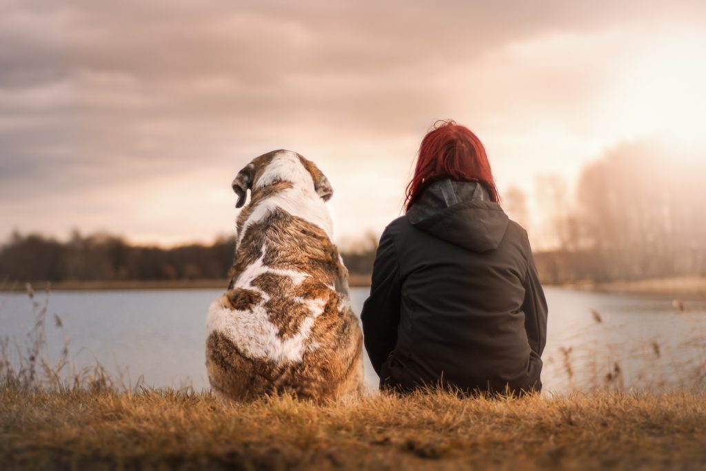 Woman with Depression and Her Pet Dog | Breast Cancer Car Donations