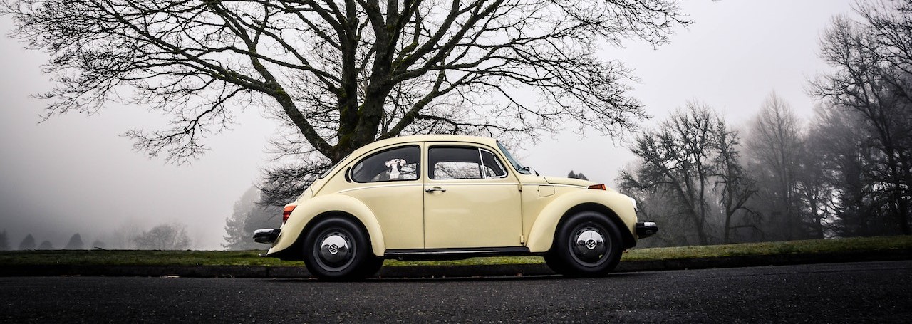 A Volkswagen Beetle Parked under the Tree | Breast Cancer Car Donations