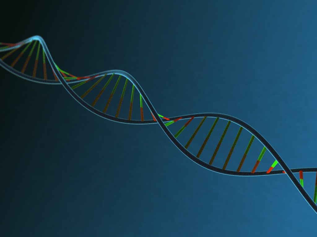 Strand of DNA | Breast Cancer Car Donations