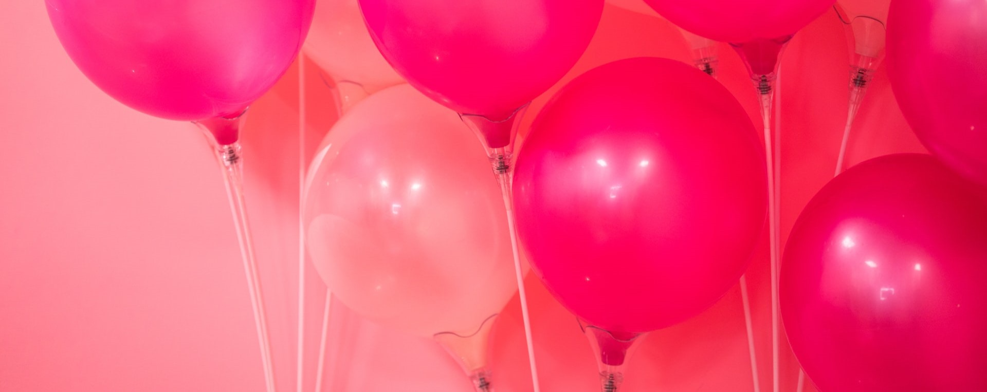 Pink Balloons | Breast Cancer Car Donations