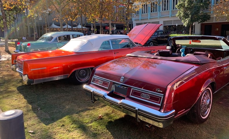 Classic Cars in a Park | Breast Cancer Car Donations