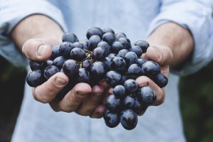 Fresh Grape Fruits for New Year | Breast Cancer Car Donations