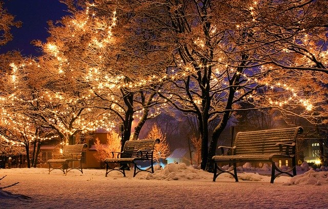 Park Filled with Christmas Lights | Breast Cancer Car Donations