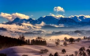 Winter Nature | Breast Cancer Car Donations