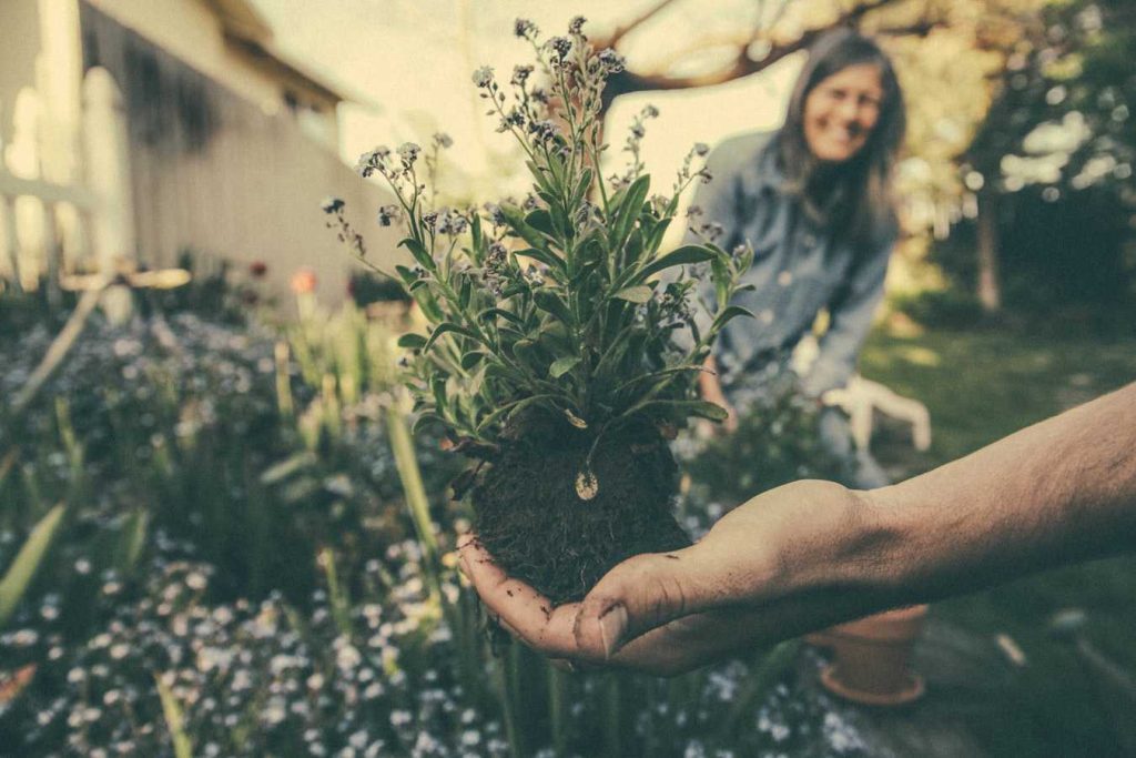 People Enjoying Gardening | Breast Cancer Car Donations