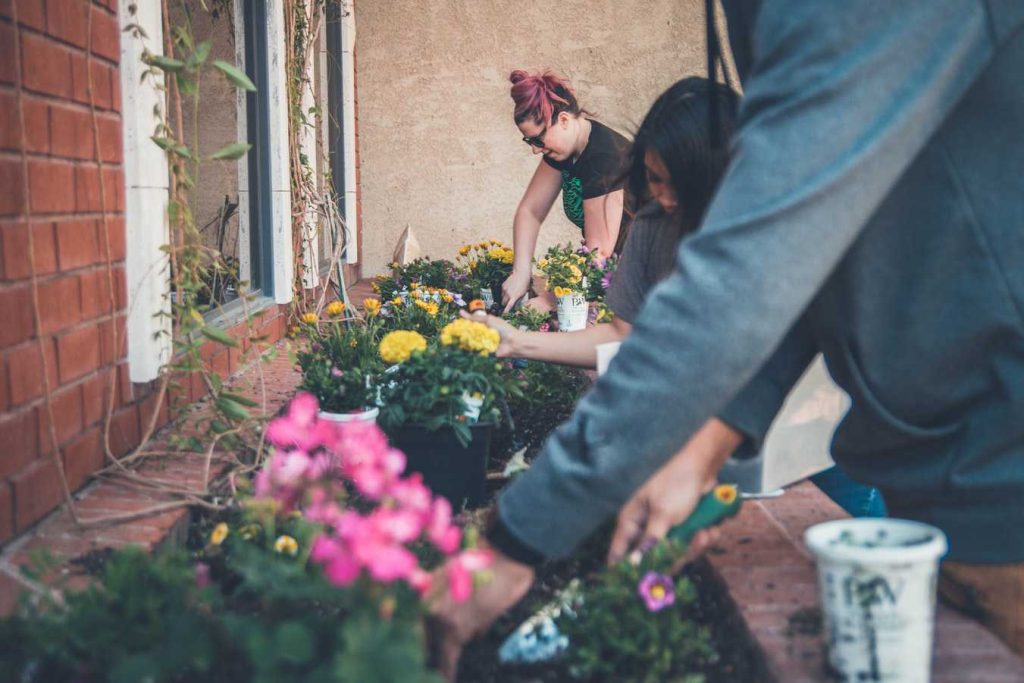 Women Planting Flowers | Breast Cancer Car Donations