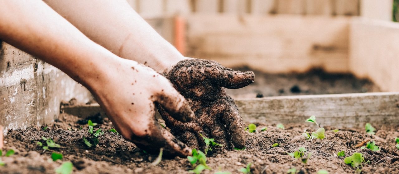 Gardening | Breast Cancer Car Donations