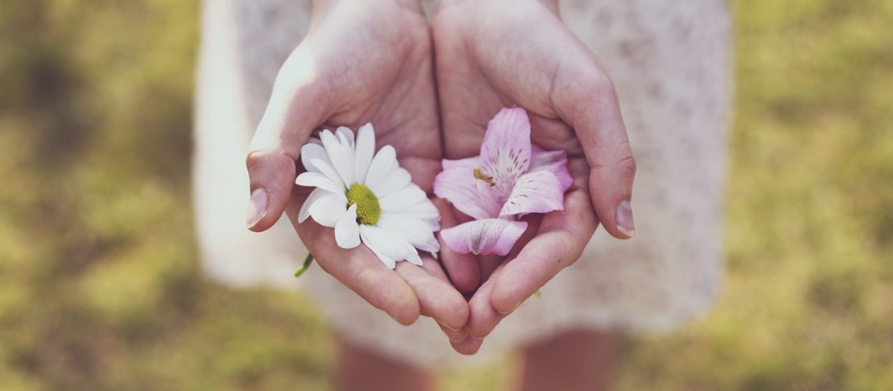 Giving Out White and Pink Flowers | Breast Cancer Car Donations