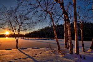 Sunrise in Winter | Breast Cancer Car Donations