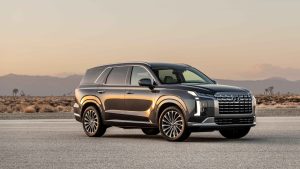 Hyundai Palisade standing on the road in the sunset | Breast Cancer Car Donations