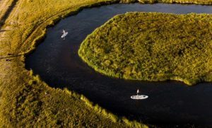 Enjoying Paddle Board in Nature | Breast Cancer Car Donations