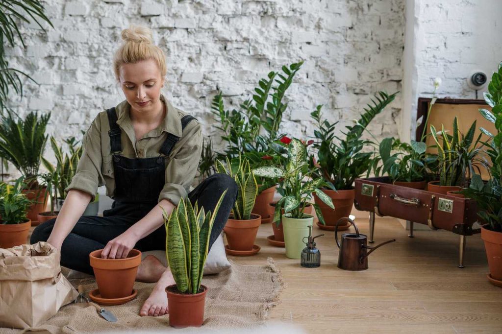 Woman Spending Time with Her Plants | Breast Cancer Car Donations