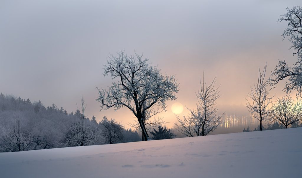 Facts About the Winter Solstice | Breast Cancer Car Donations