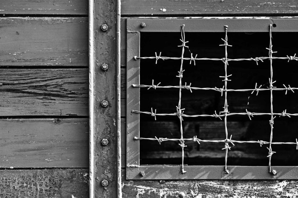 International Holocaust Remembrance Day 5 Ways to Honor the Fallen | Breast Cancer Car Donations
