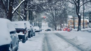 Snow Covered Road near Bare Trees | Breast Cancer Car Donations