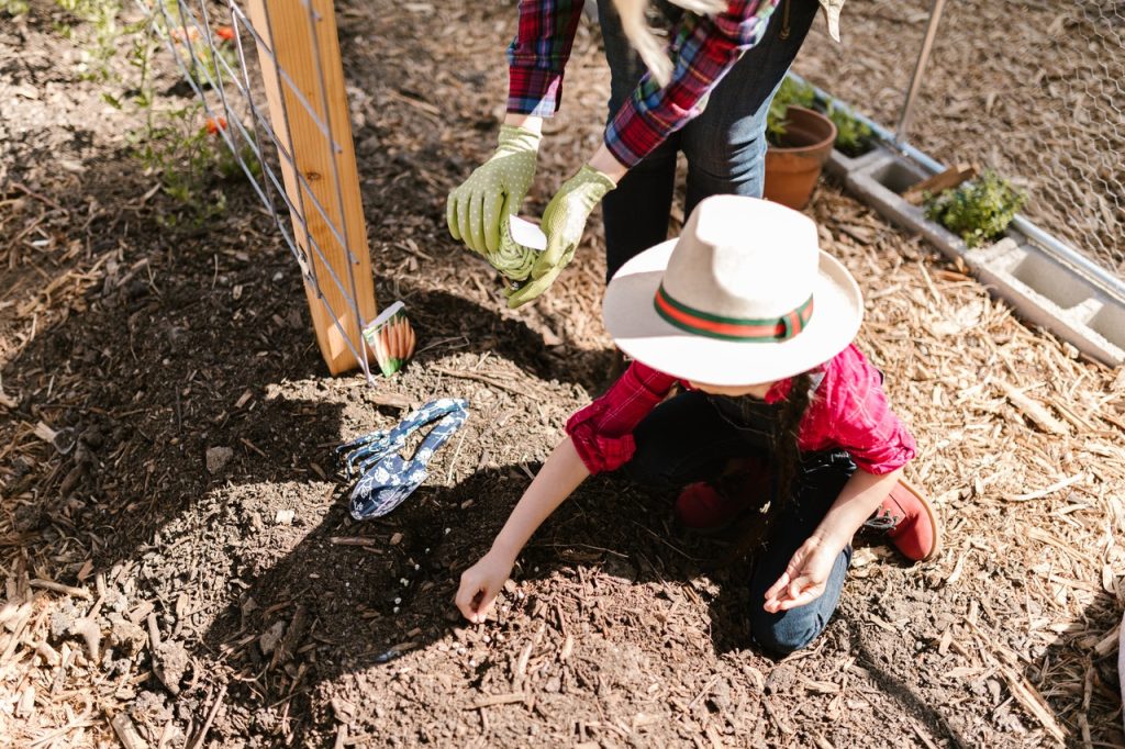 Wonderful Reasons for Planting Trees | Breast Cancer Car Donations