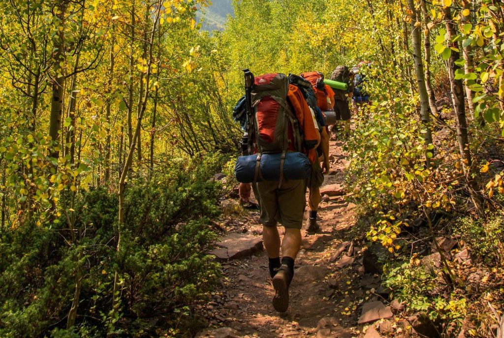 Fantastic Ways to Revel in the Wonders of Nature | Breast Cancer Car Donations