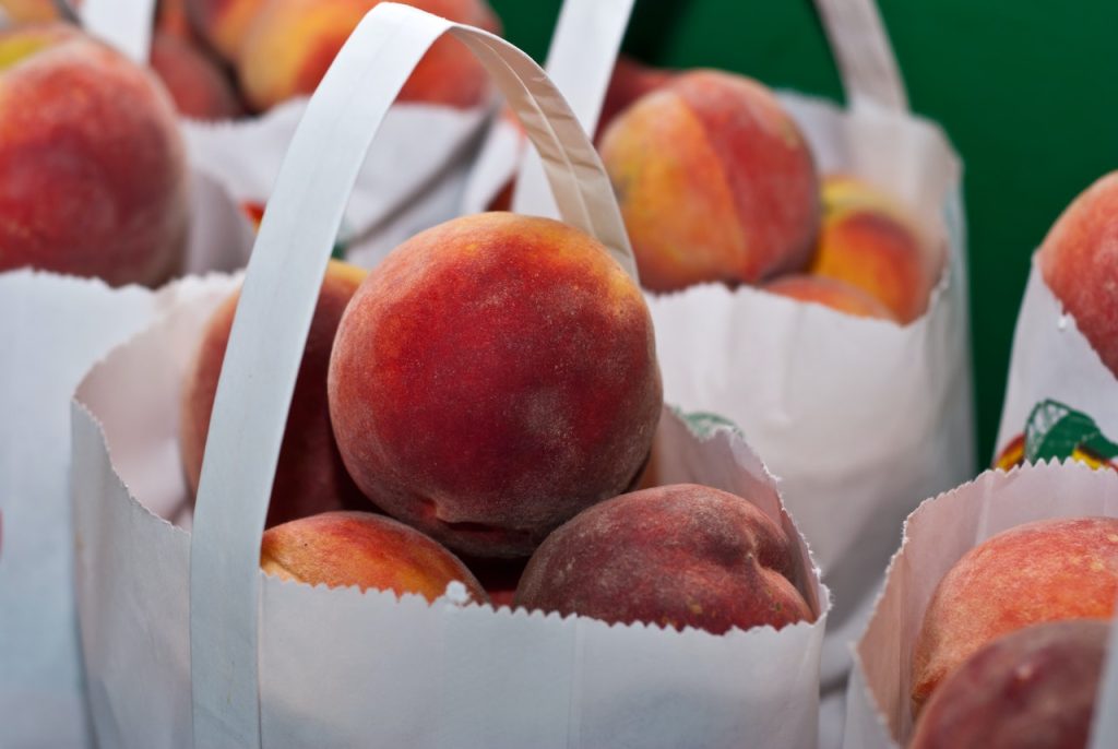 Tips to Help Keep Your Produce Fresh for Weeks | Breast Cancer Car Donations