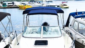 White and Blue Speedboat on Body of Water | Breast Cancer Car Donations