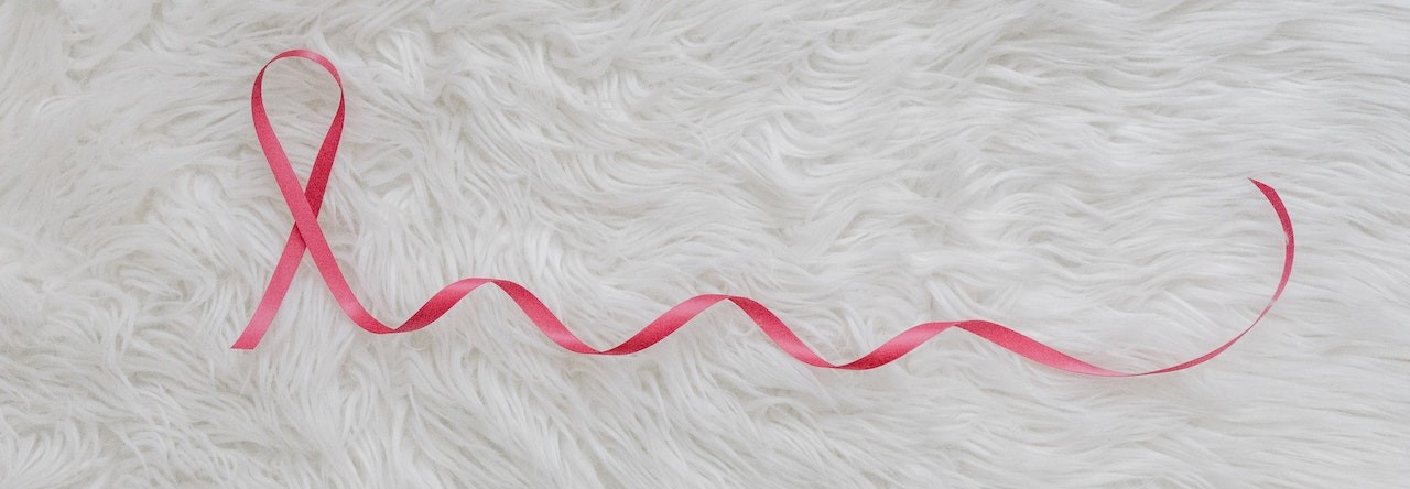 Pink Ribbon on White Furr | Breast Cancer Car Donations