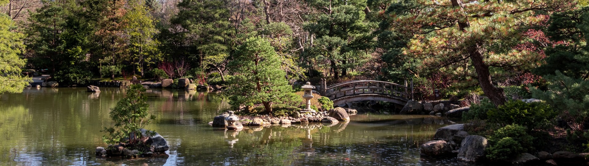 Anderson Japanese Garden in Rockford | Breast Cancer Car Donations