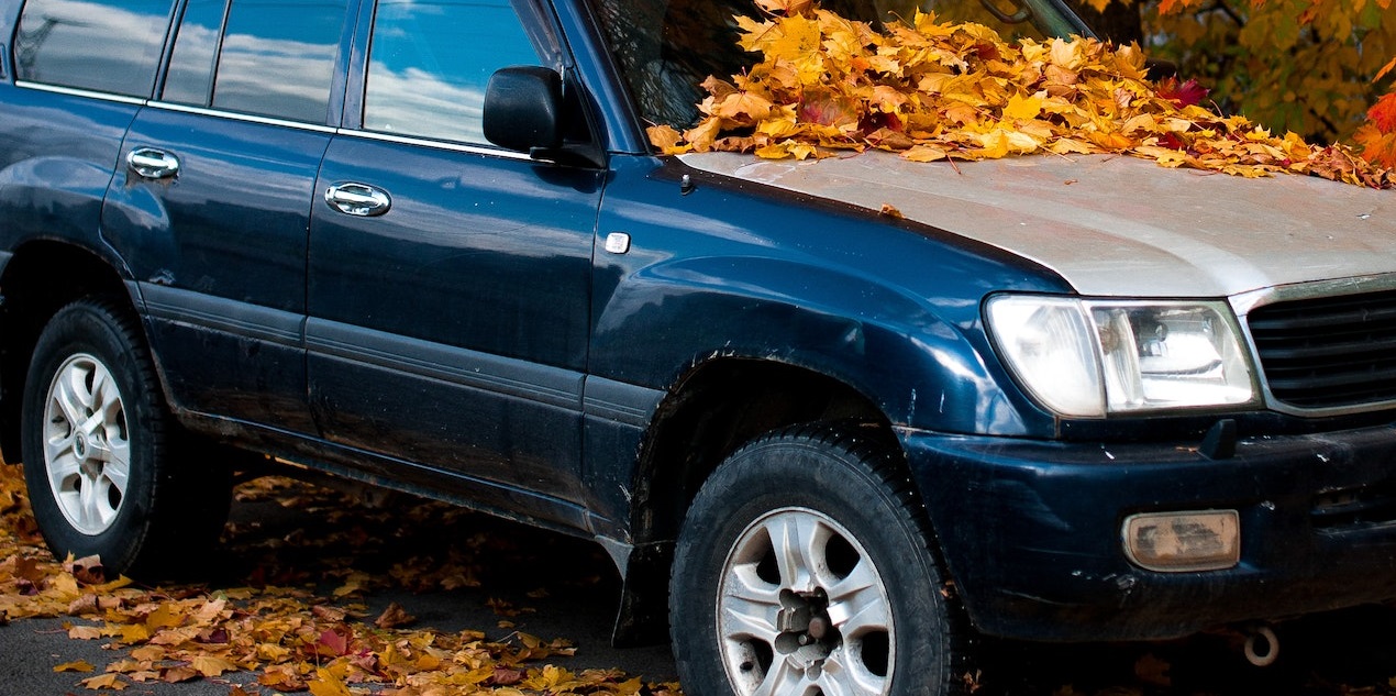 Black car parked with leaves on top | Breast Cancer Car Donations