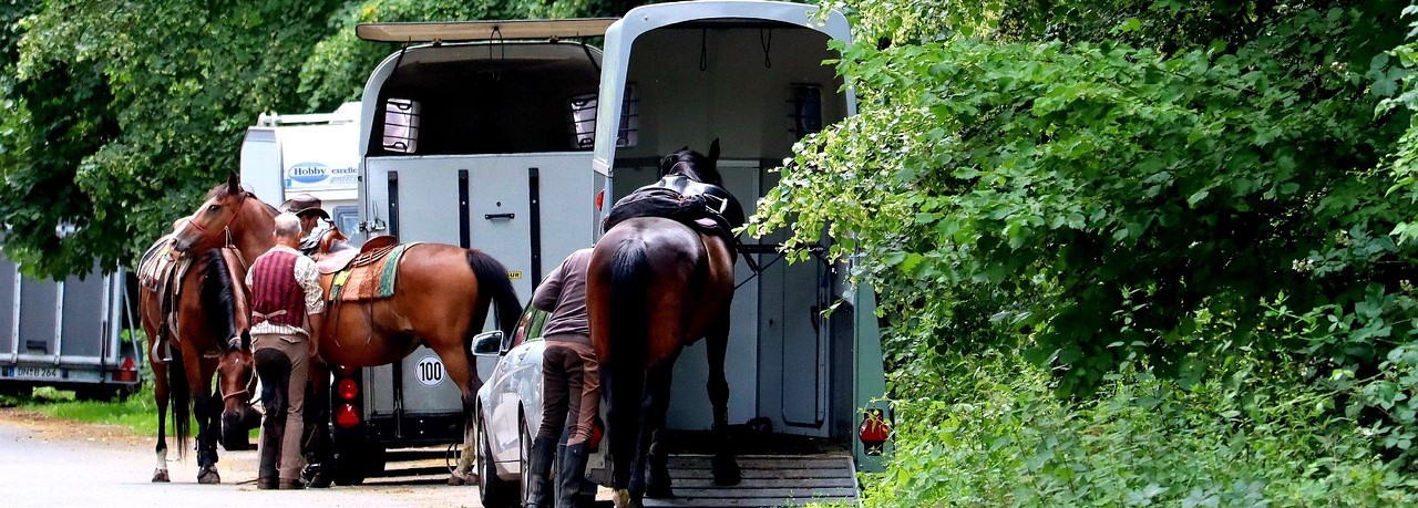 Equestrian Sports Horse Trailer | Breast Cancer Car Donations