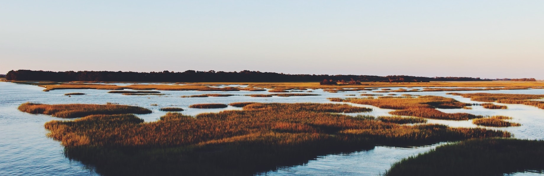 Folly Beach in SC | Breast Cancer Car Donations