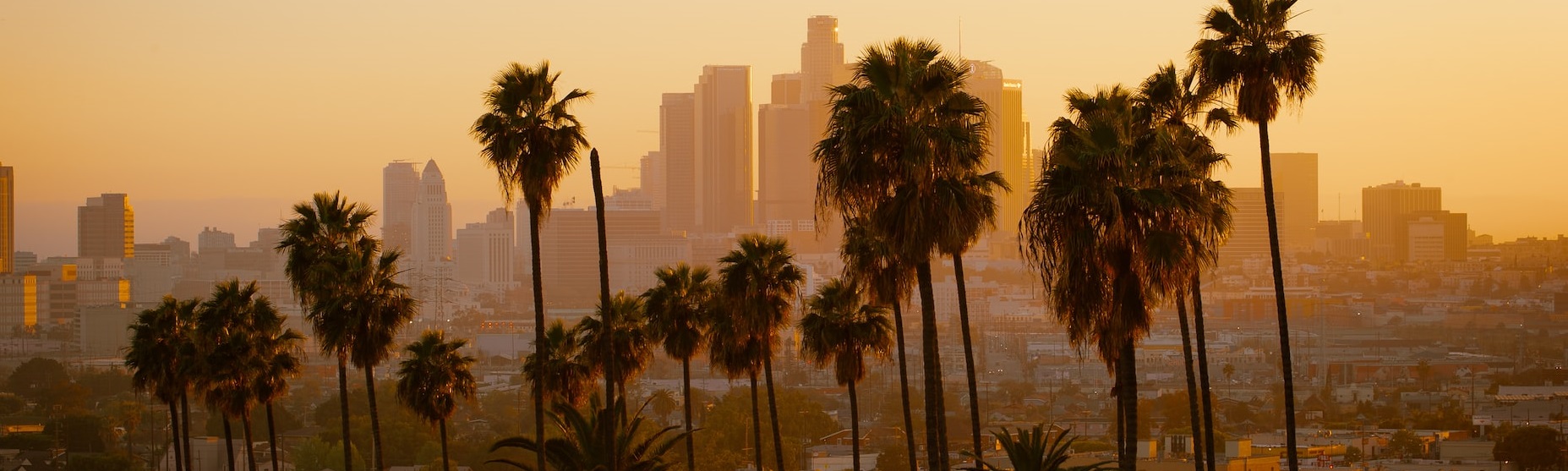 Golden Hour in LA | Breast Cancer Car Donations