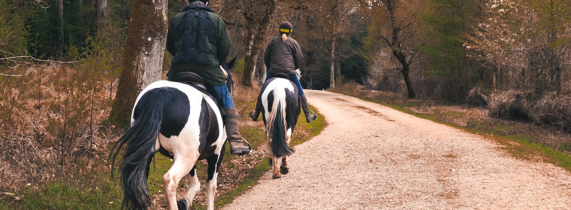 Horseriding in Damascus | Breast Cancer Car Donations