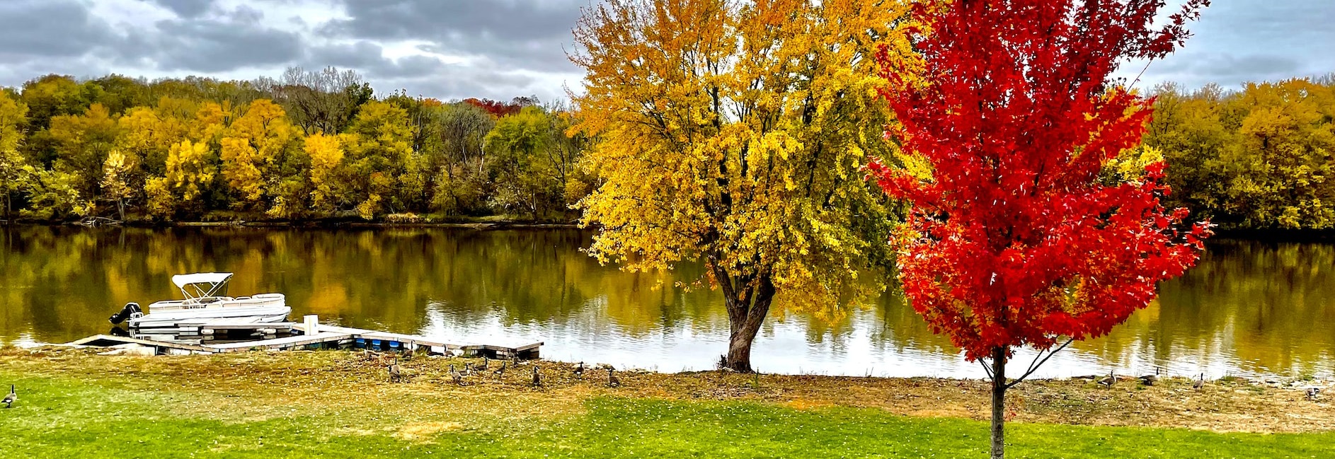 Lake in Illinois | Breast Cancer Car Donations