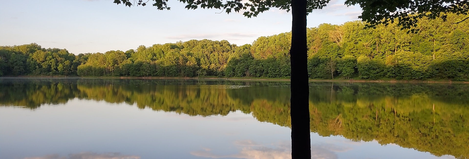 Lake in Silver spring | Breast Cancer Car Donations