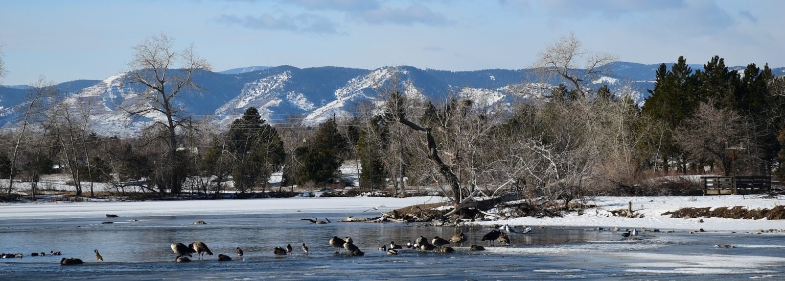 Lakewood, Colorado Car Donations Breast Cancer Car Donations