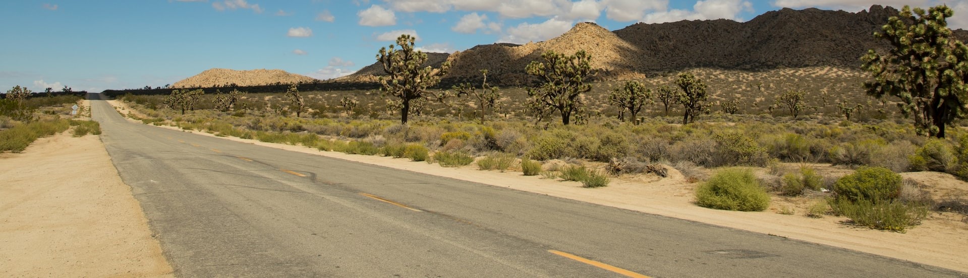 Lone Desert Road - California | Breast Cancer Car Donations