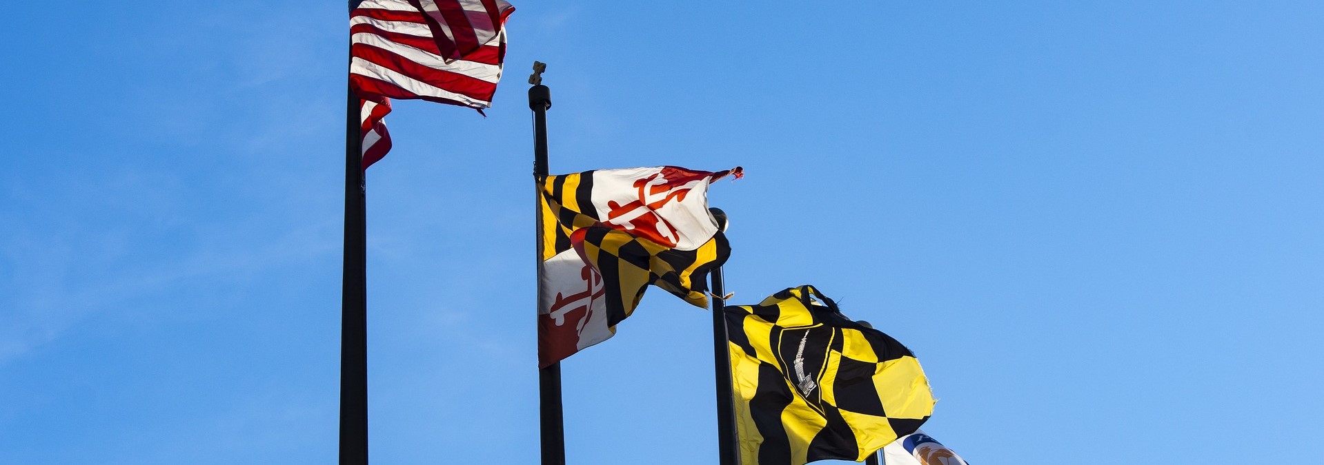 Maryland flag | Breast Cancer Car Donations
