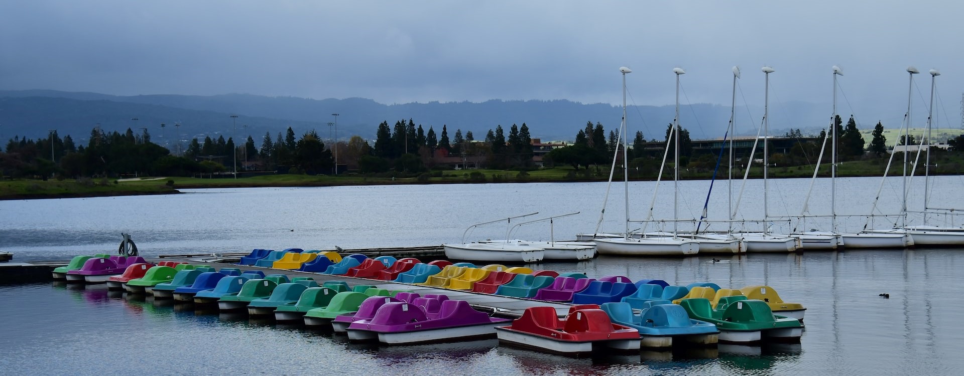 Paddle boats | Breast Cancer Car Donations