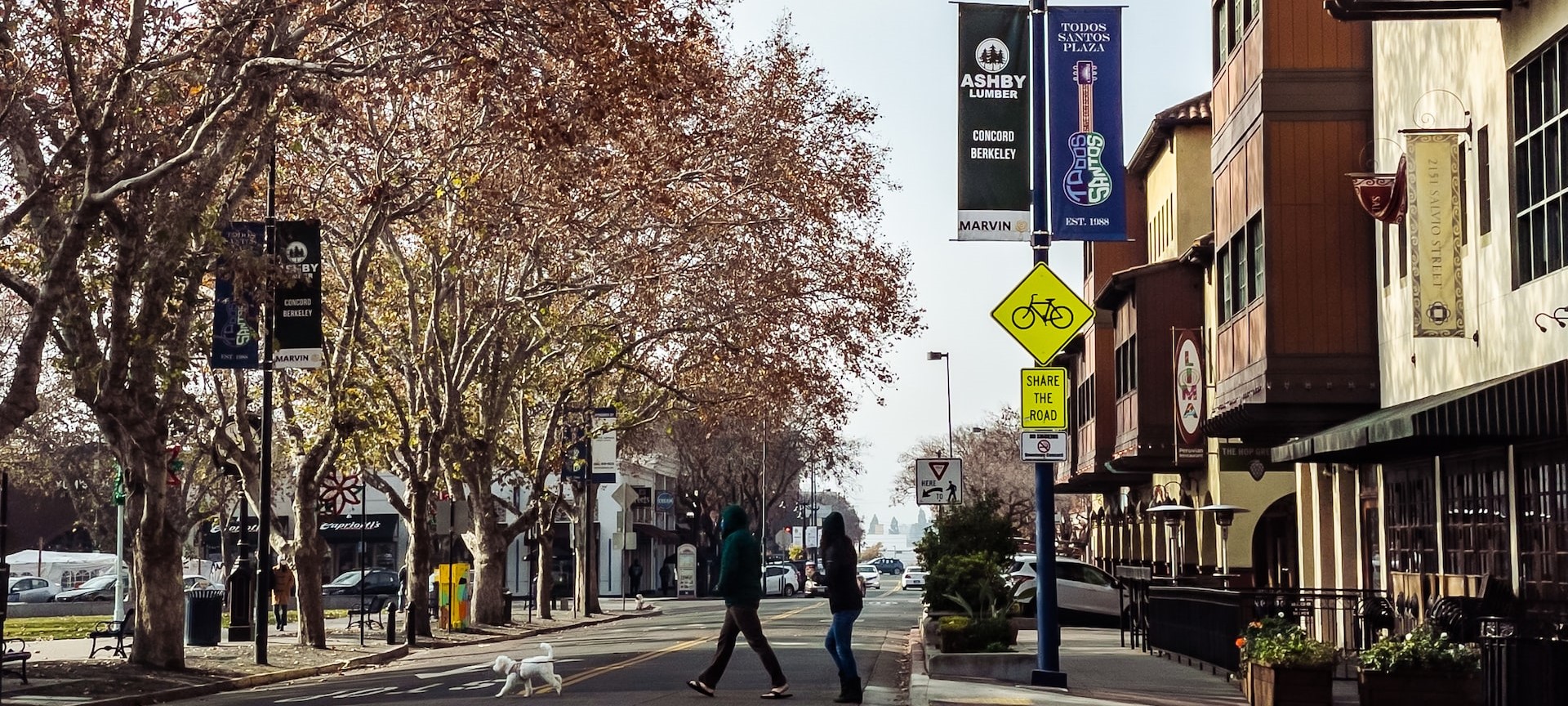 People walking on sidewalk near brown trees | Breast Cancer Car Donations