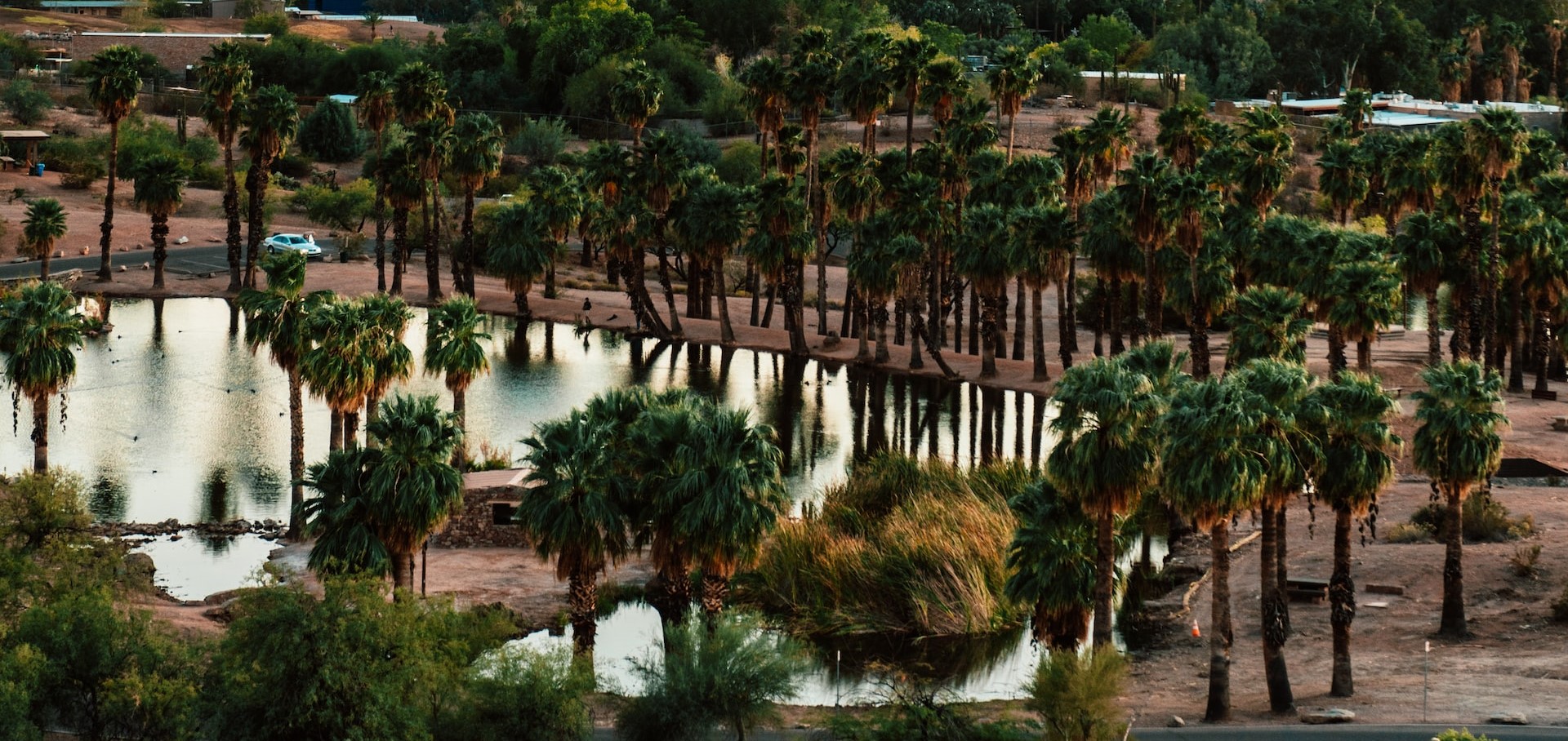 Plane flying over the palm tree oasis of a desert city | Breast Cancer Car Donations