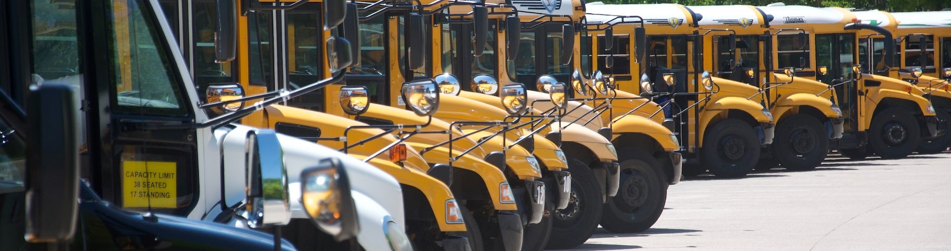 School buses parked | Breast Cancer Car Donations