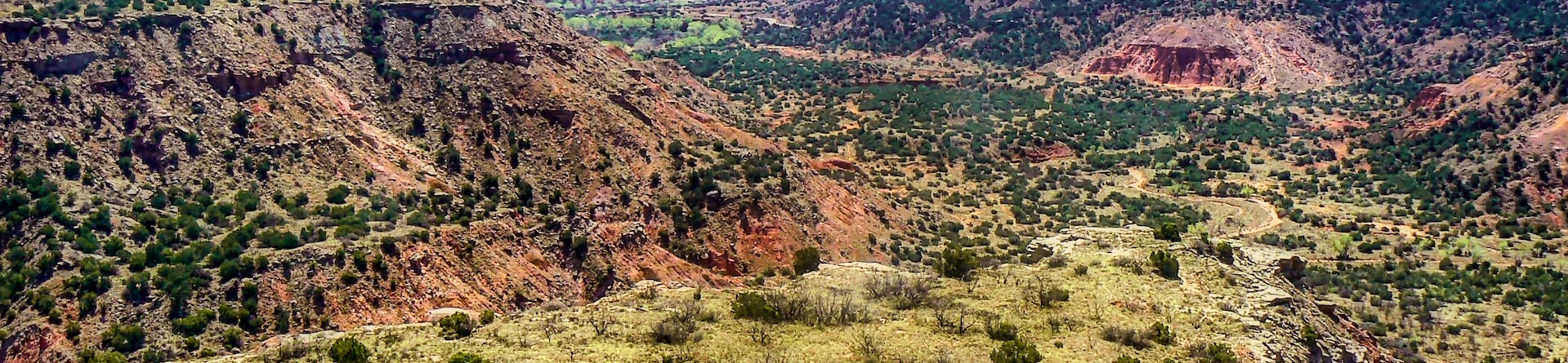 Springtime in Palo Duro Canyon (Apr., 2009) | Breast Cancer Car Donations
