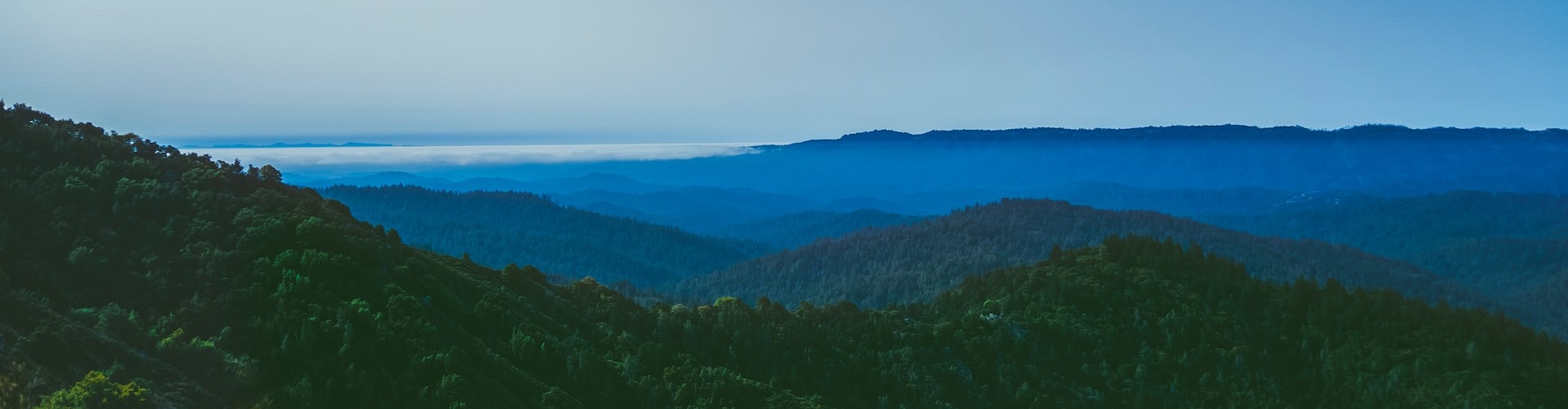 State park in Los Gatos | Breast Cancer Car Donations