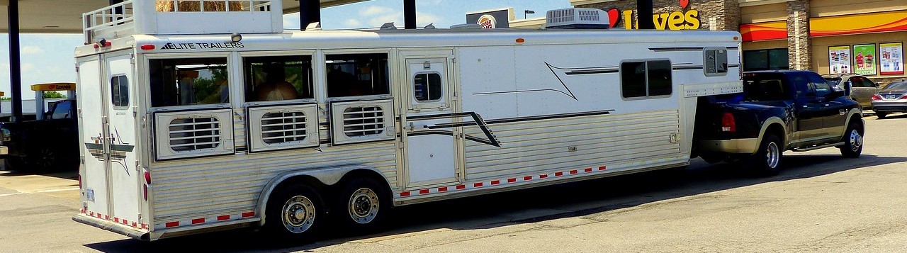 Transport Trailer Horses | Breast Cancer Car Donations