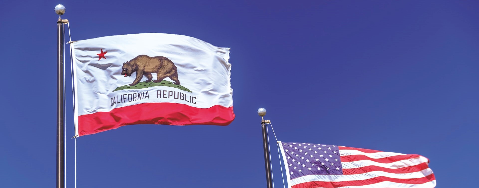 USA & California Flags | Breast Cancer Car Donations