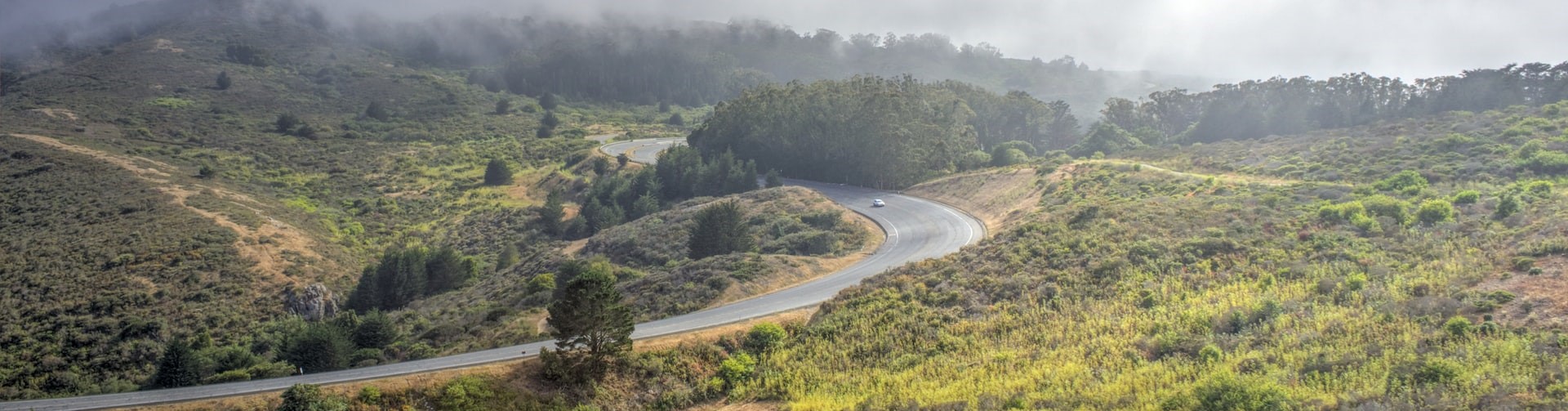 Wide road in the middle of a park in san bruno | Breast Cancer Car Donations